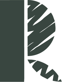 Logo de Reyarchi cabinet d'Architecte