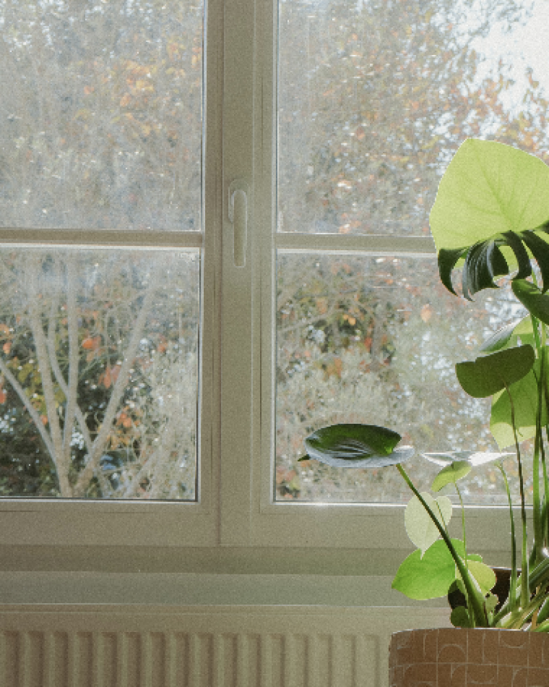 Vue sur le jardin arboré depuis le salon de la maison partagée